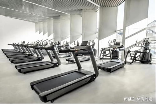 舒華體育 以專業器材助力冬奧村健身中心，共迎冰雪盛會
